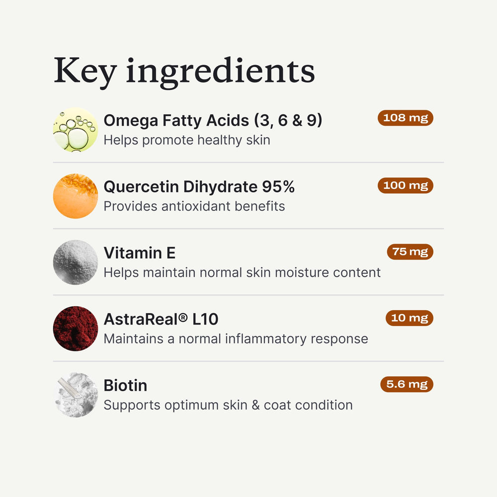 PetLab Co. Borage oil chew highlighting omega-6 for moisture and coat health.