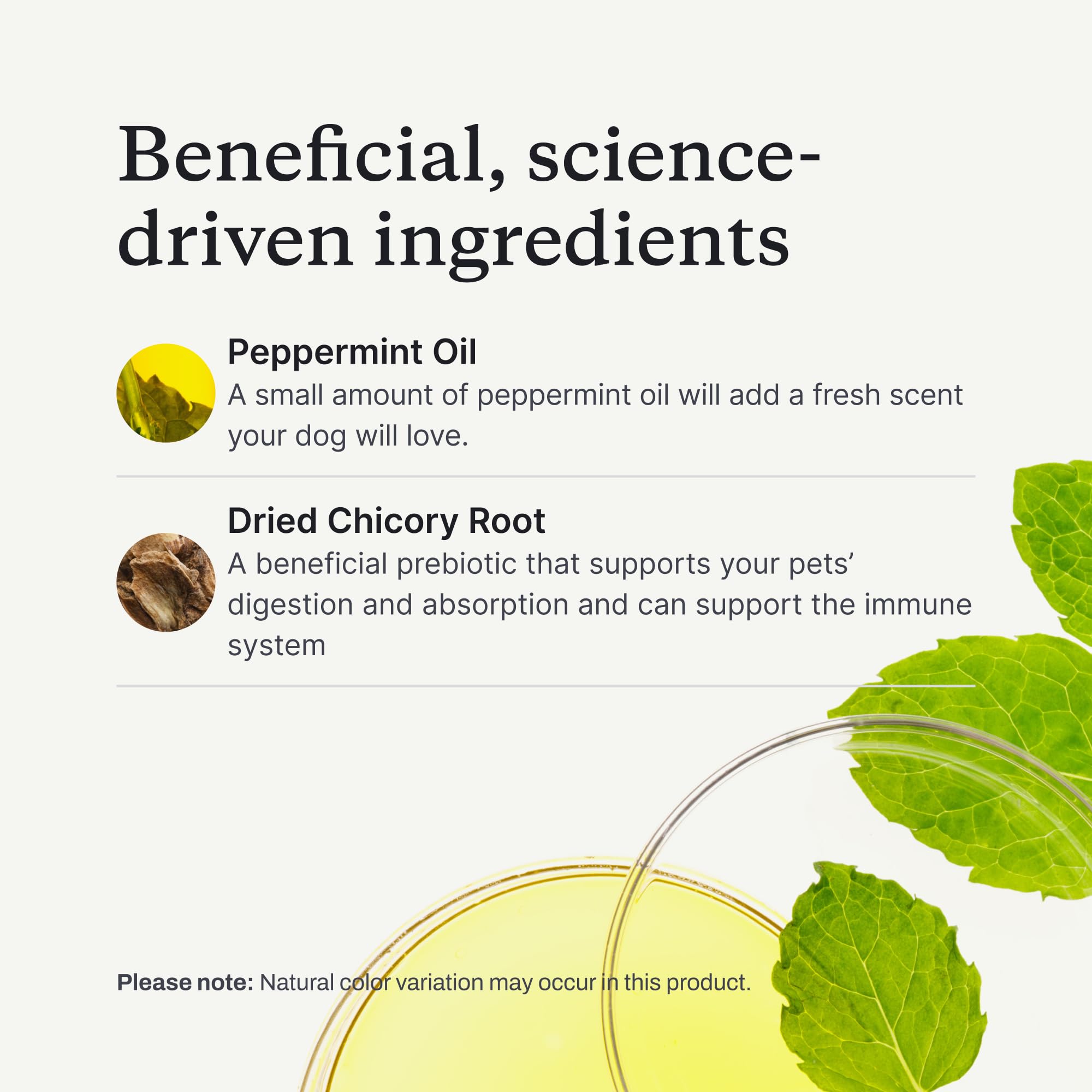 PetLab Co Dental Sticks chicory root ingredient highlight.