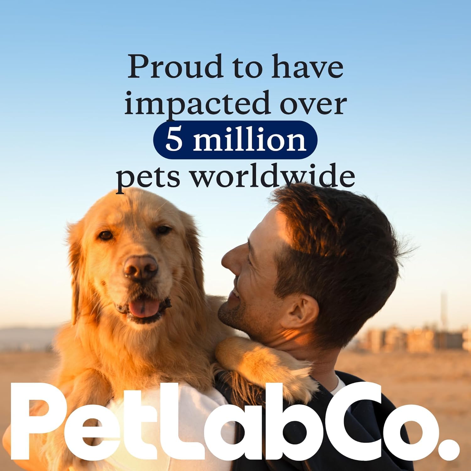 PetLab Co Dental Sticks premium ingredients overview.
