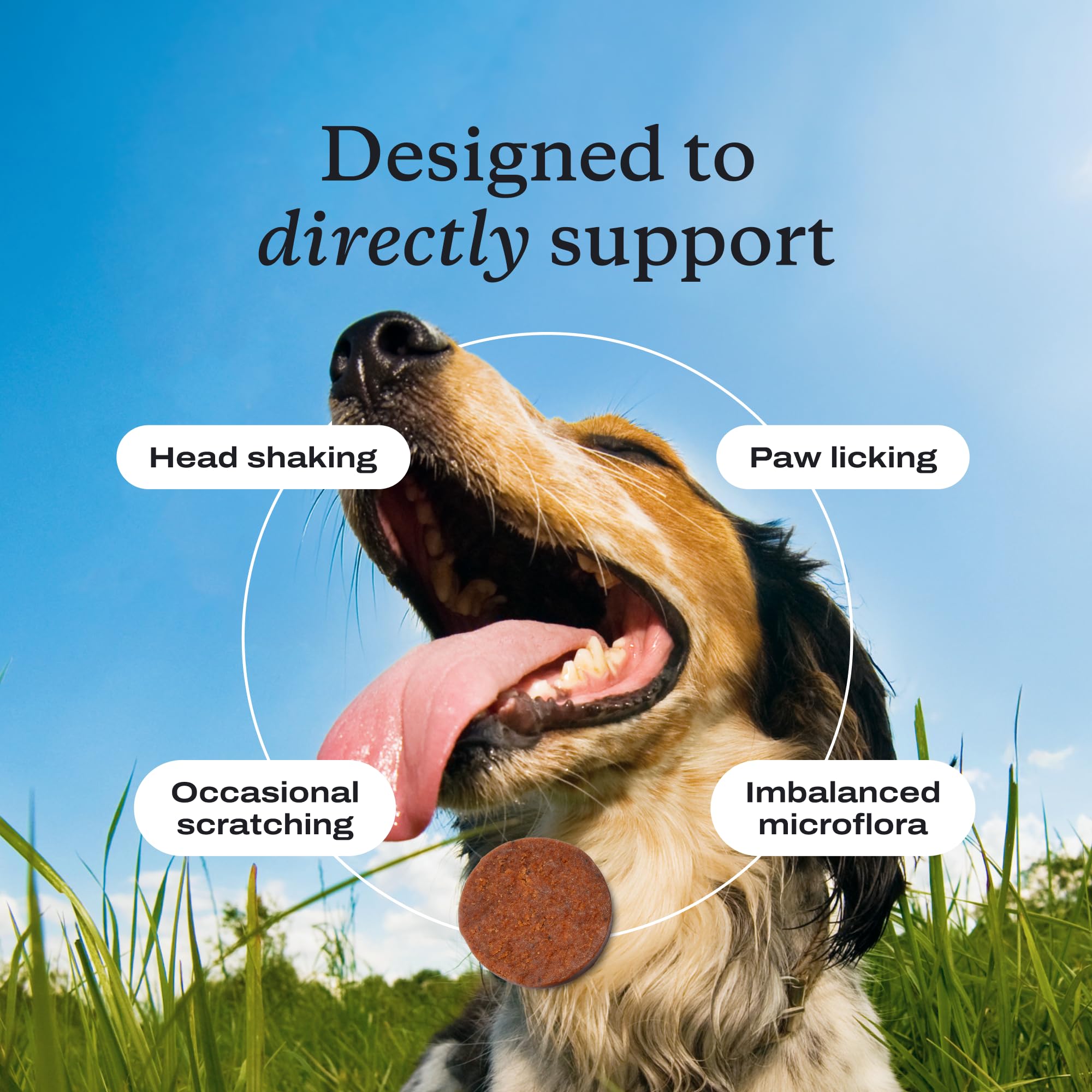 PetLab Co dog chew action; simple feeding during mealtime or as a treat
