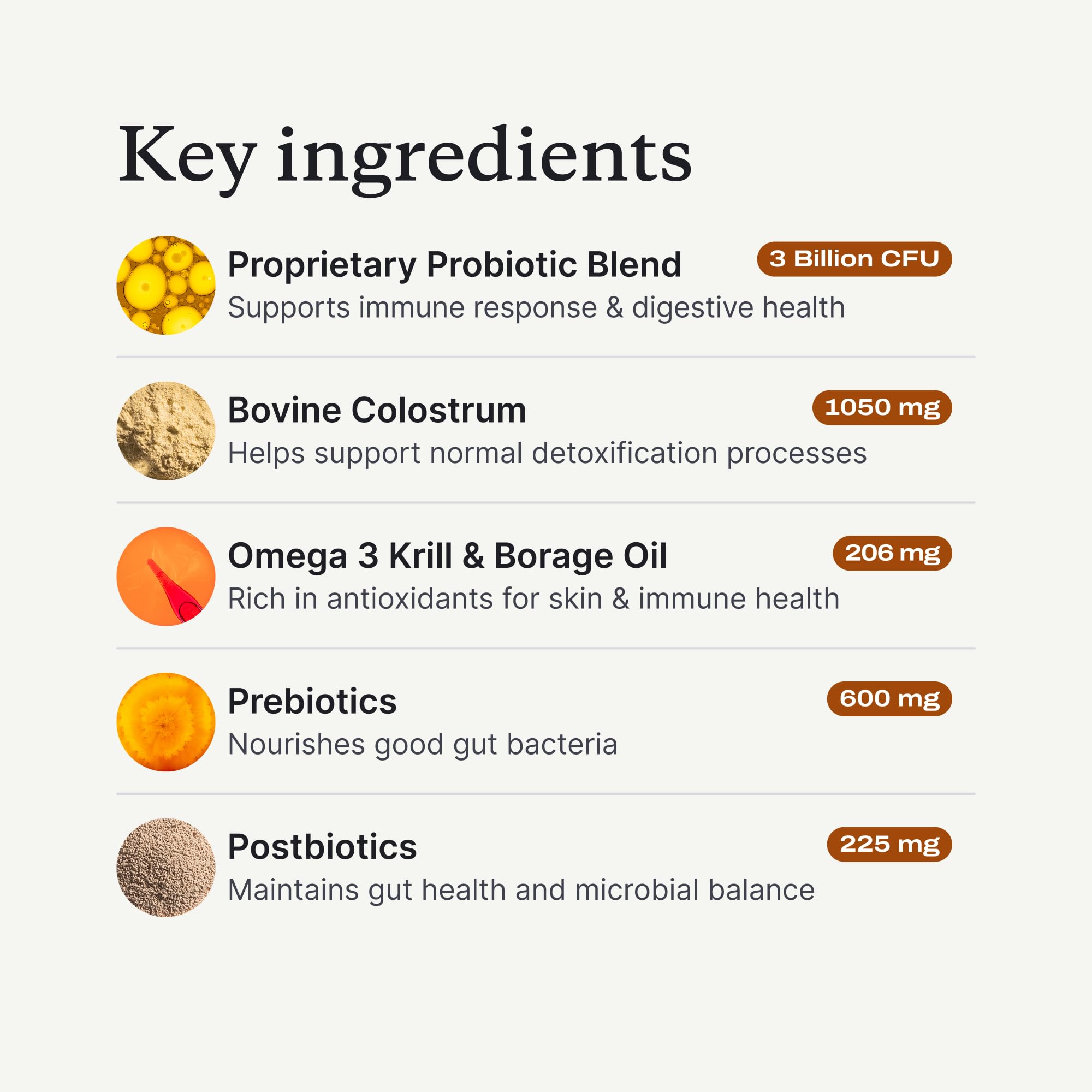 PetLab Co. dog in park with daily probiotic routine and chews