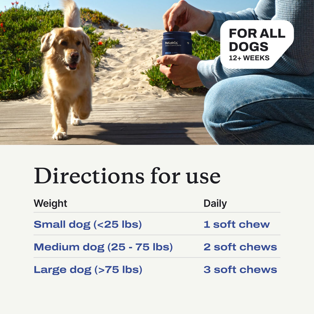 PetLab Co Joint Care Chews owner giving scene emphasizes simple pill-free administration.