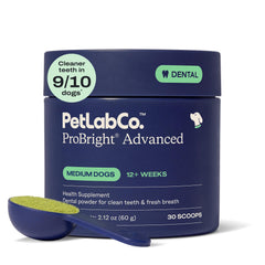 PetLab Co. ProBright dental powder with medium dog scoop for easy daily dosing and fresh breath.