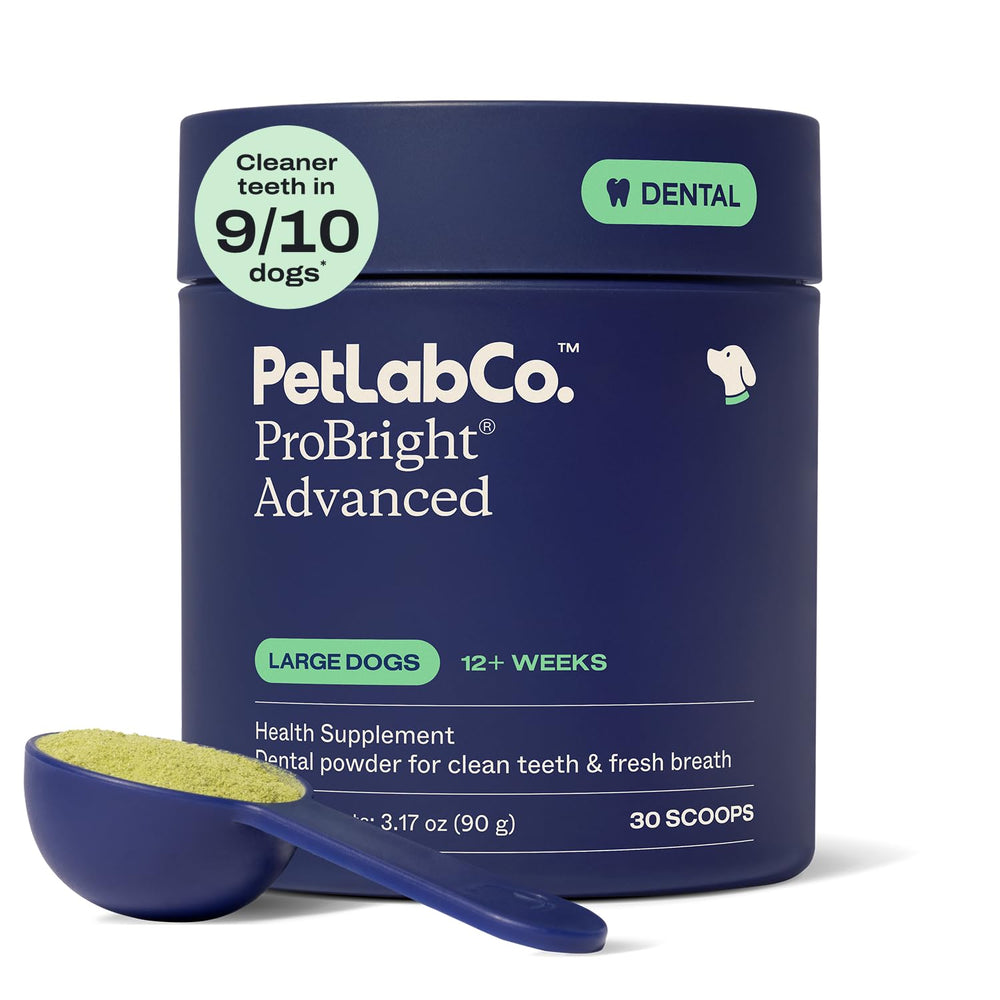 PetLab Co ProBright large dog tub front for easy daily dosing.