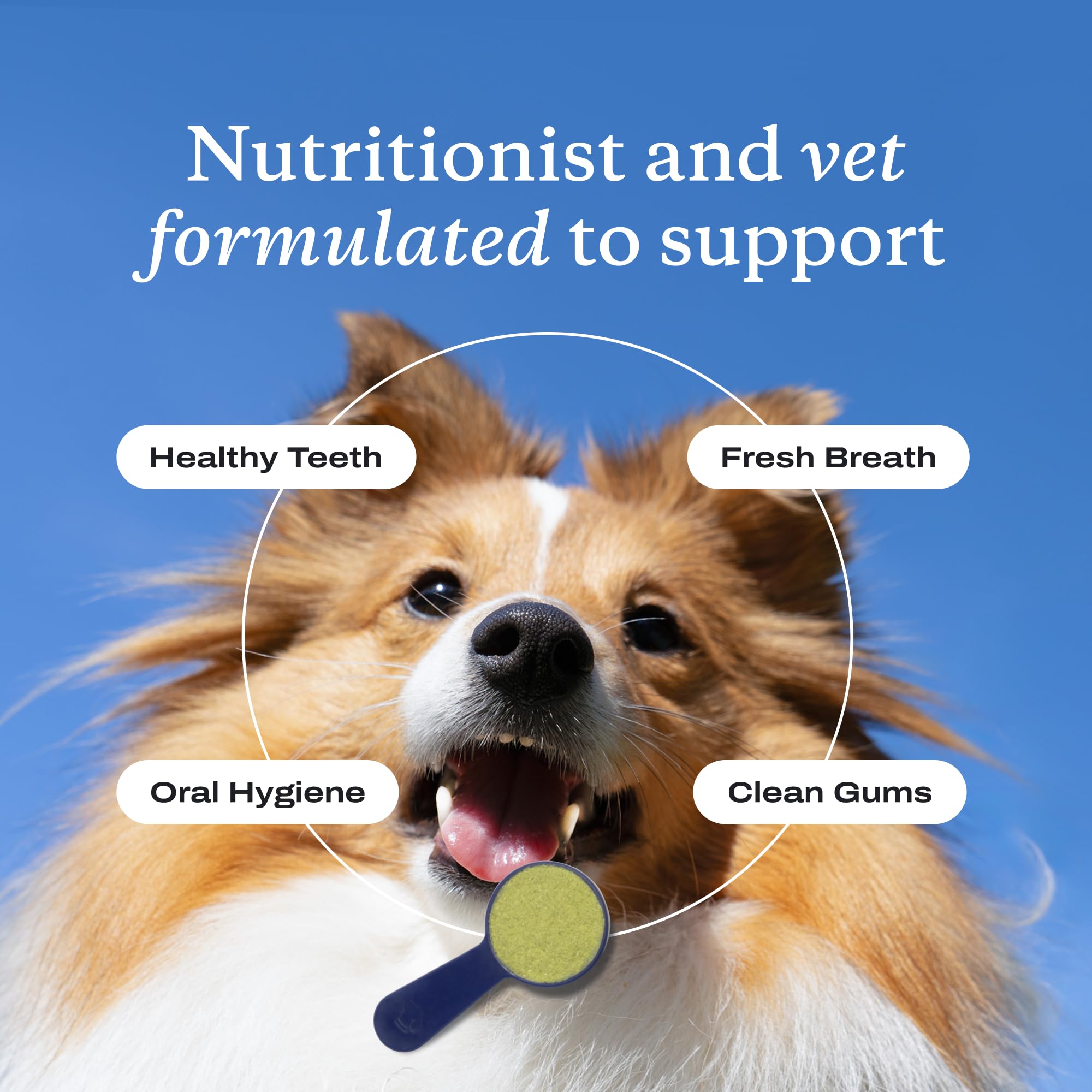 PetLab Co ProBright supports a simple daily sprinkle routine