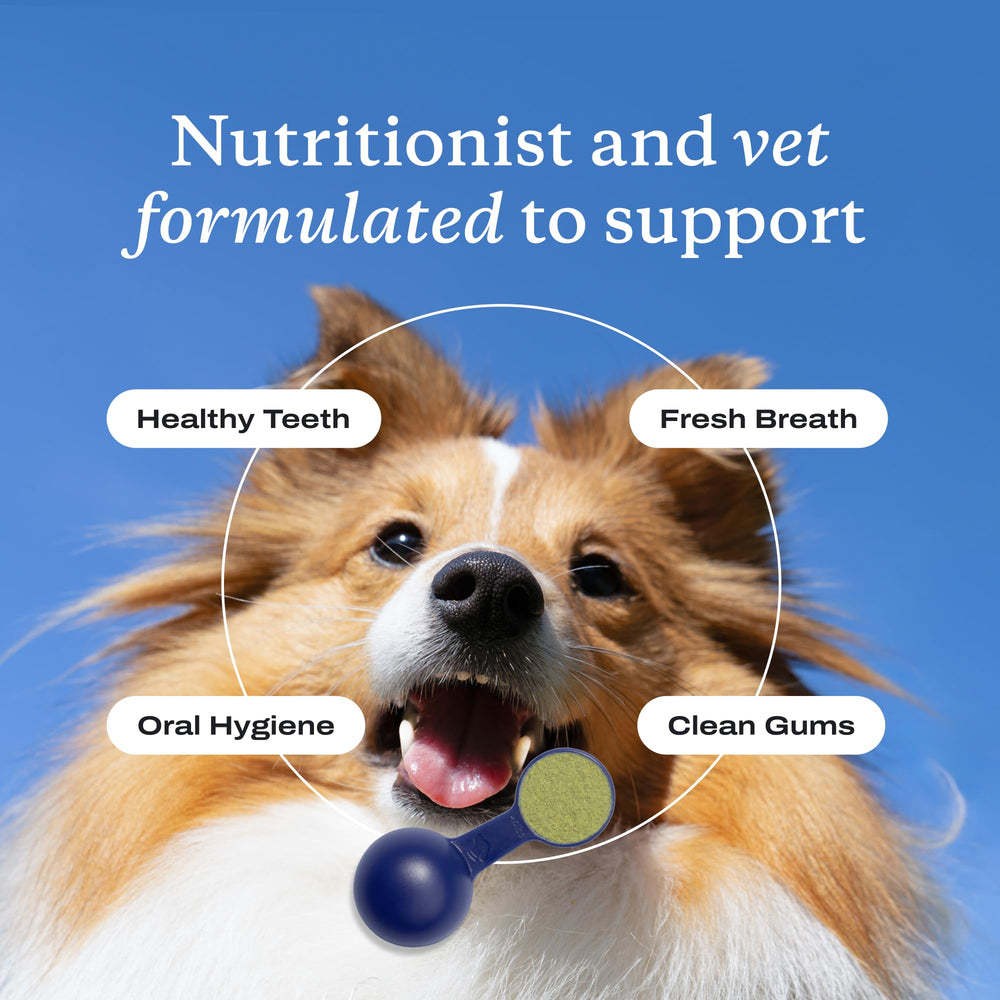 PetLab Co ProBright targets tartar with a simple, effective routine.