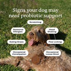 PetLab Co. yeast balance support for dogs using probiotics.
