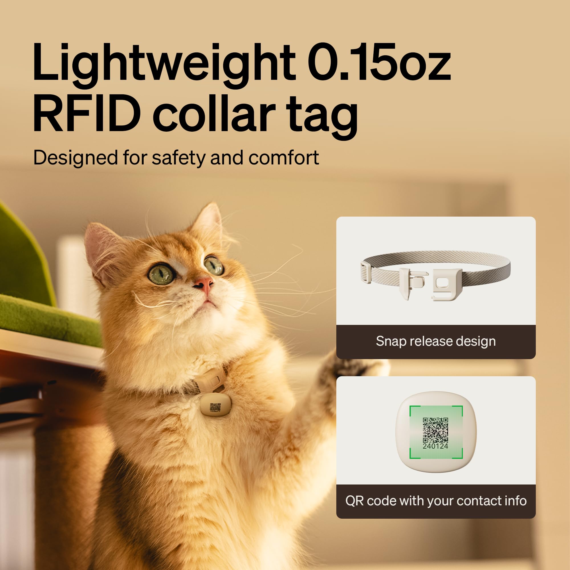 PETLIBRO 3 L kibble container stores weeks of food.