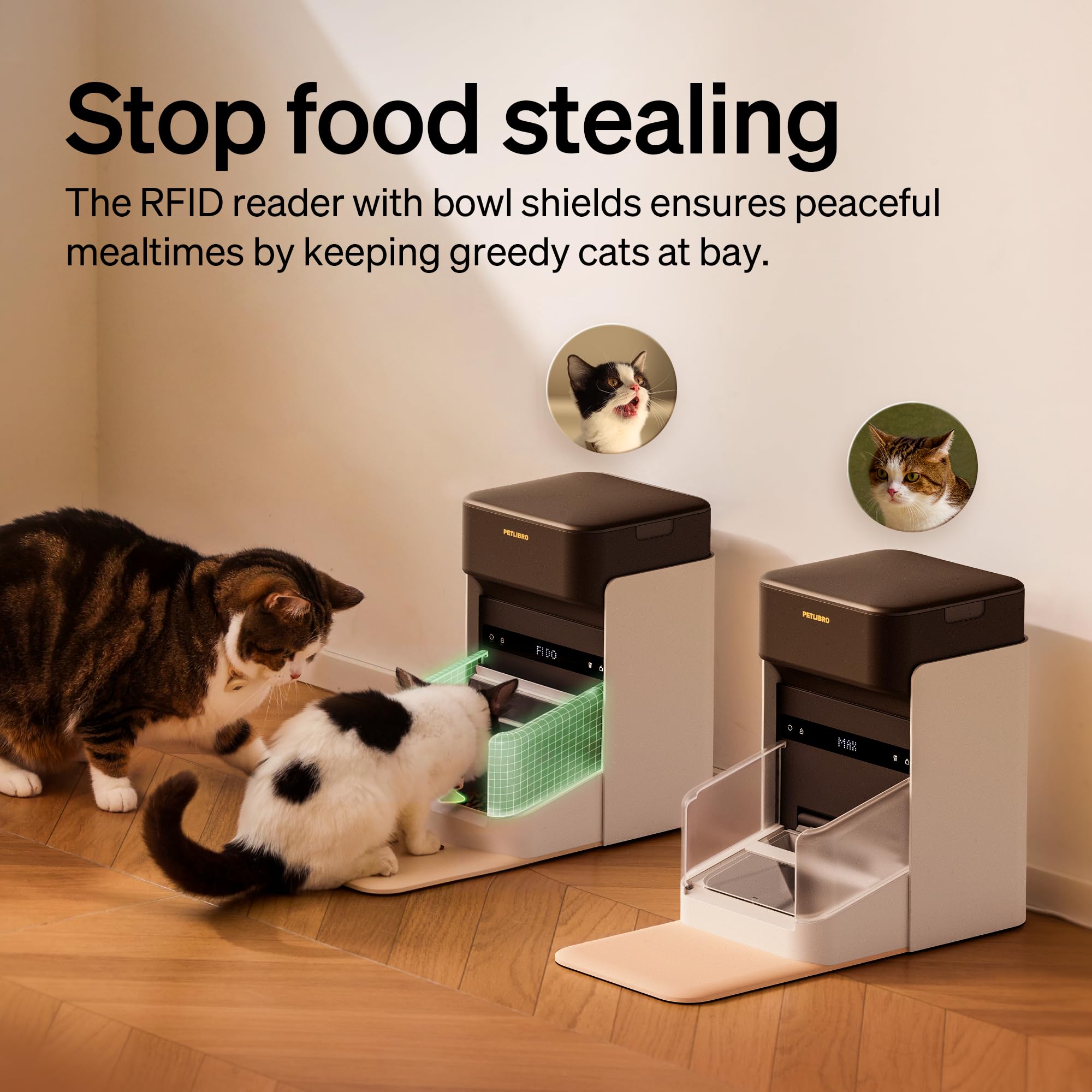 PETLIBRO app diet logs show real-time feeding data and trends.