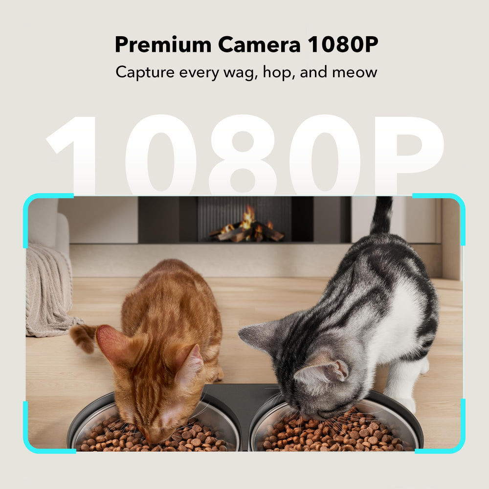 PETLIBRO feeder with night vision for clear 1080P footage in low light