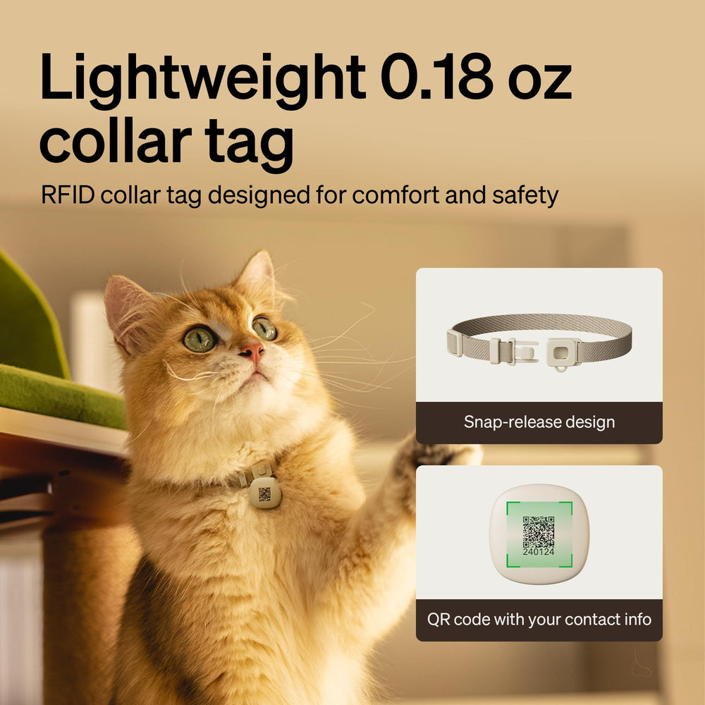 PETLIBRO RFID feeder multi-cat setup supports individualized meal access.
