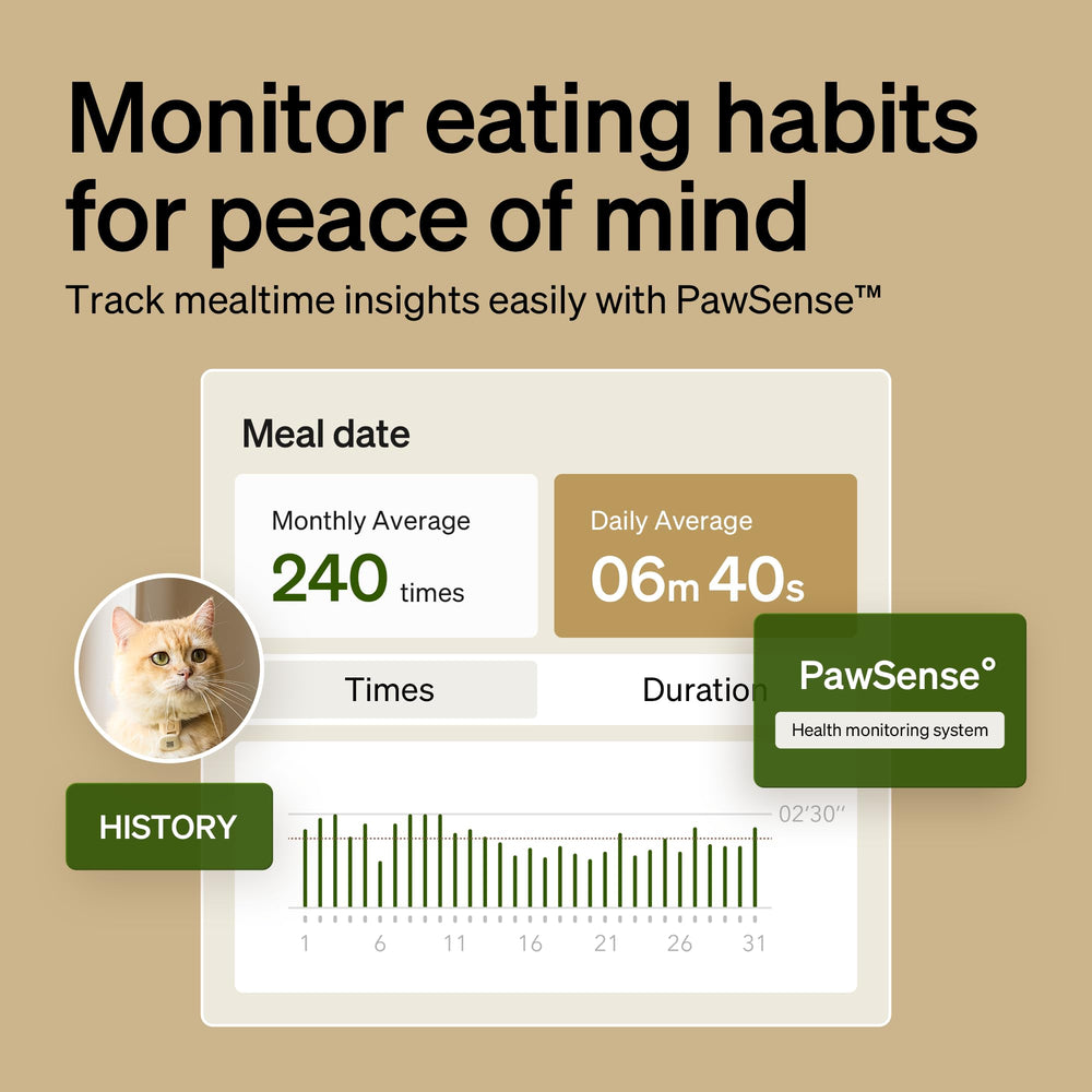 PETLIBRO scheduling feature enables routine meals even on busy days.