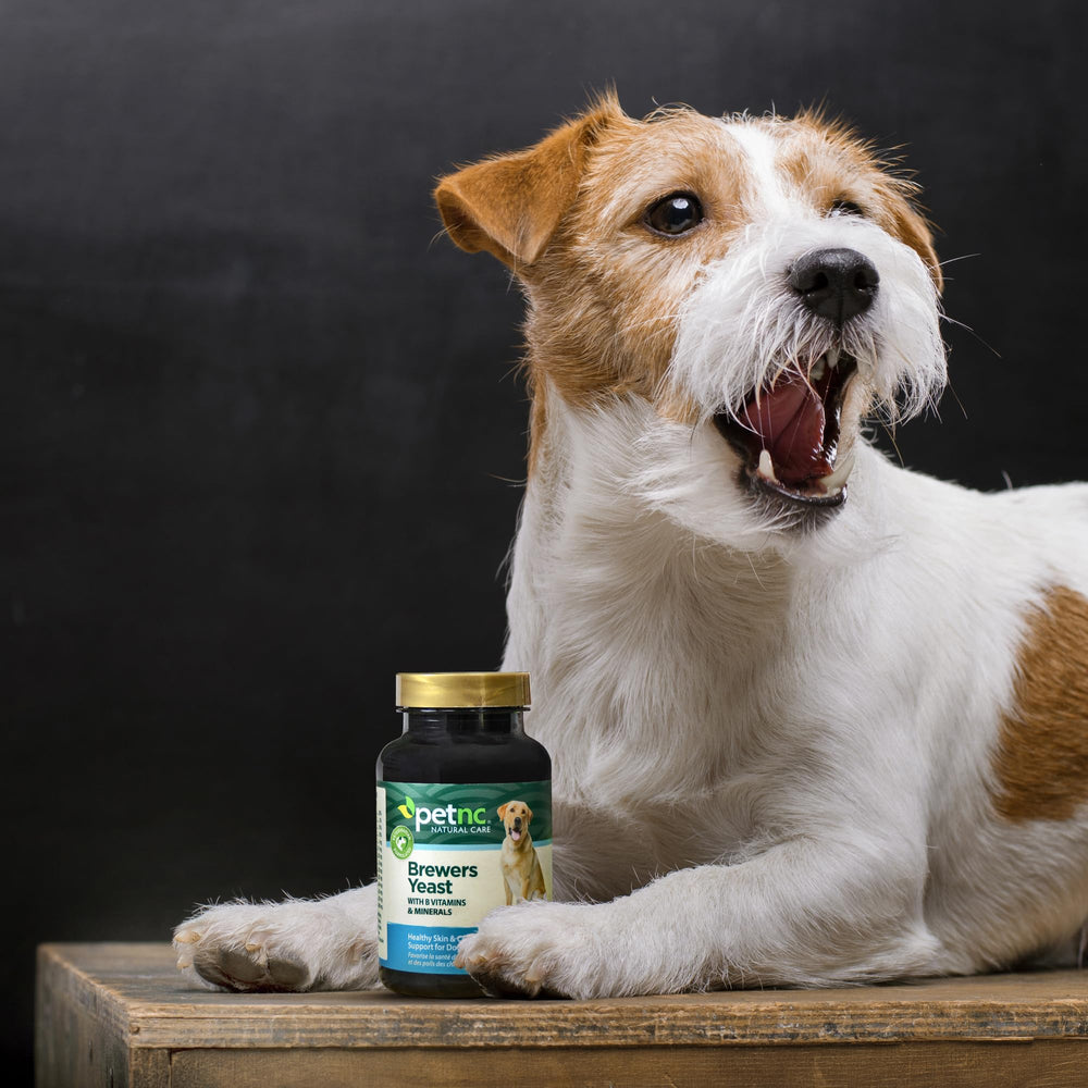 PetNC Natural Care seal and packaging signaling quality standards.