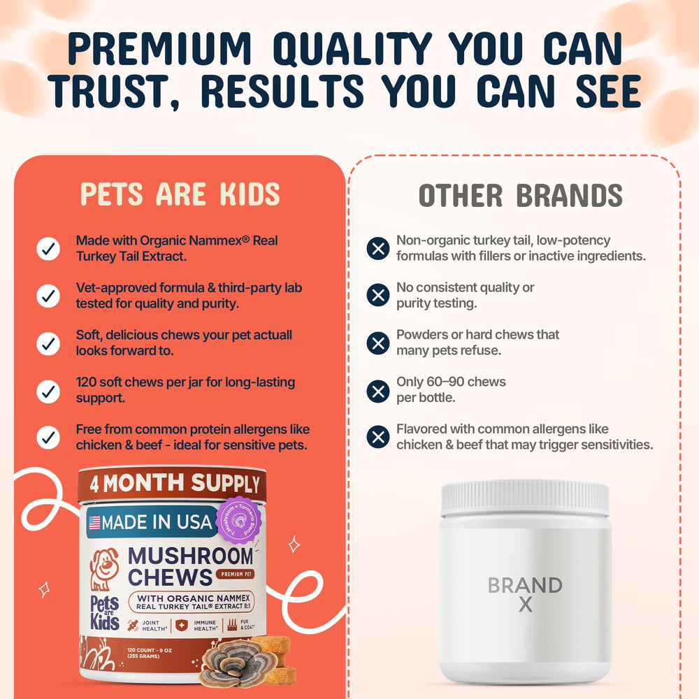Pets Are Kids Too joint mobility chews aiding smooth movement