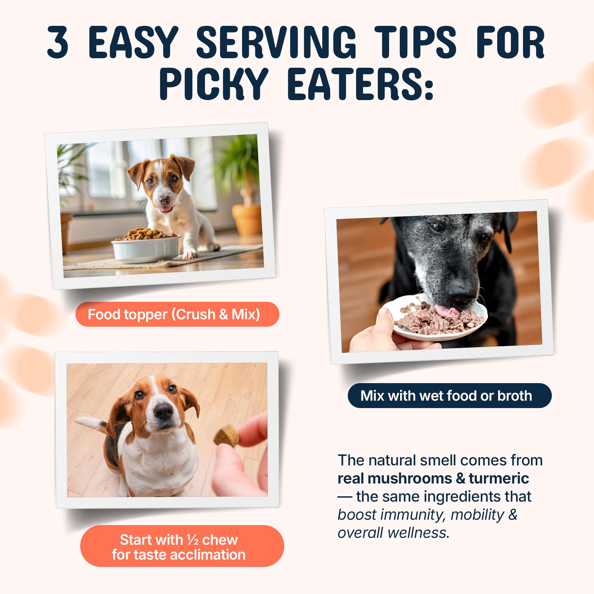 Pets Are Kids Too reishi and lion’s mane blend on label for dogs