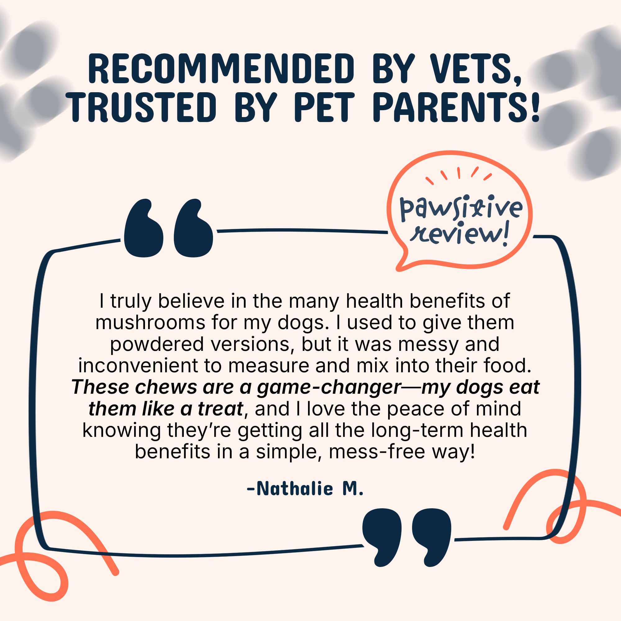 Senior dog with Pets Are Kids Too chews supporting mobility.