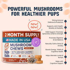 Close-up of Pets Are Kids Too chews showing chewy texture for easy treat.
