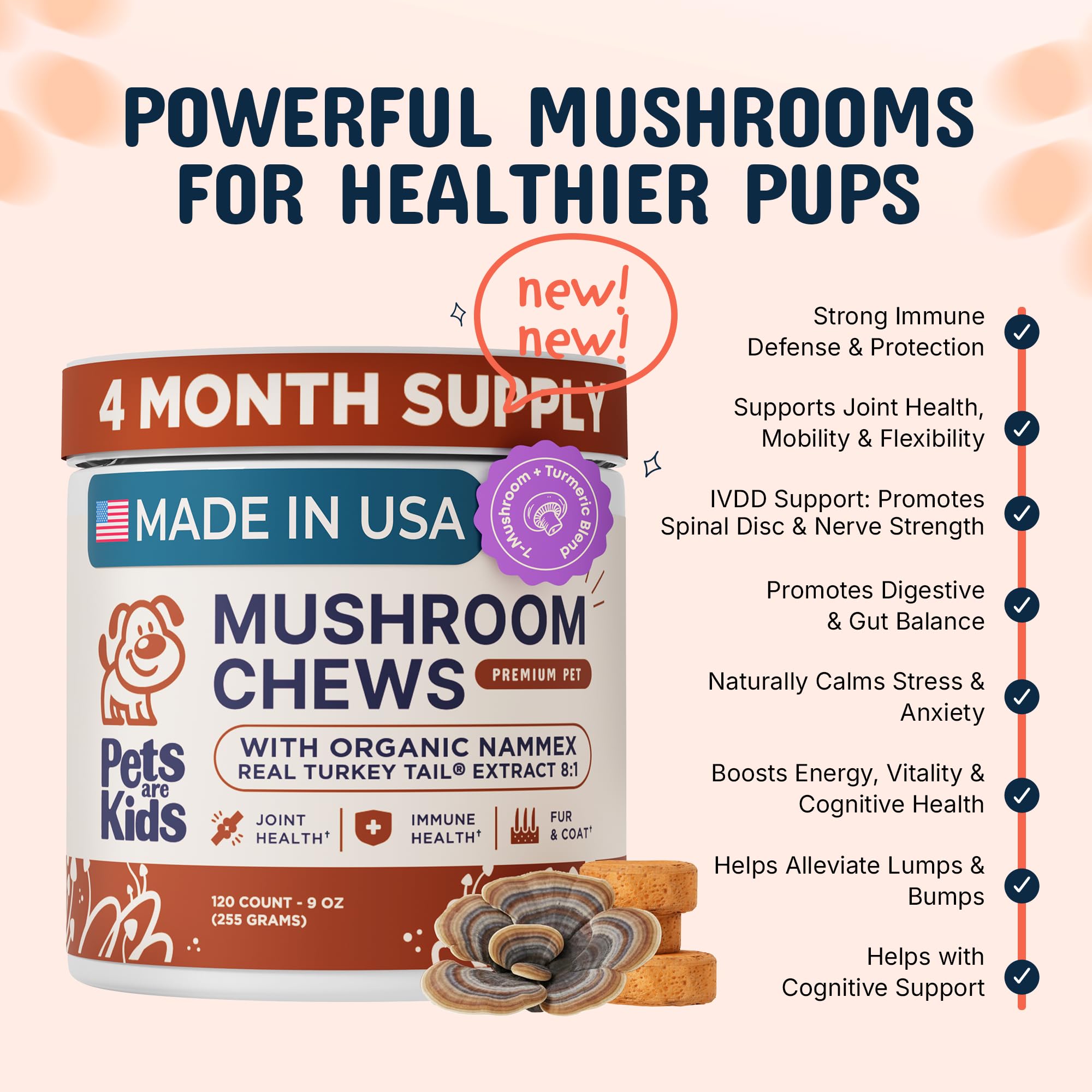 Close-up of Pets Are Kids Too turkey tail chews, soft texture for daily dosing