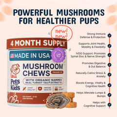 Close-up of Pets Are Kids Too turkey tail chews, soft texture for daily dosing