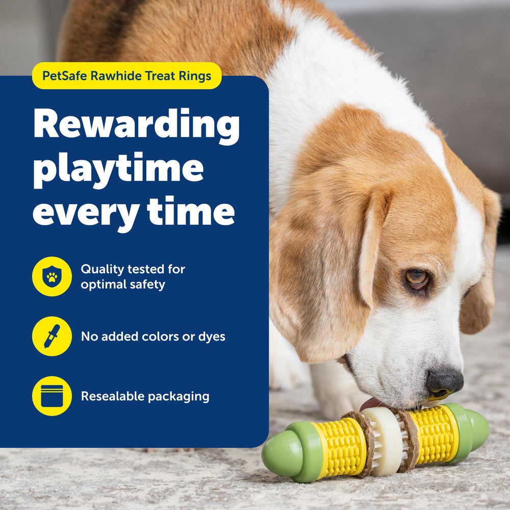 PetSafe Busy Buddy medium rings in action for training rewards