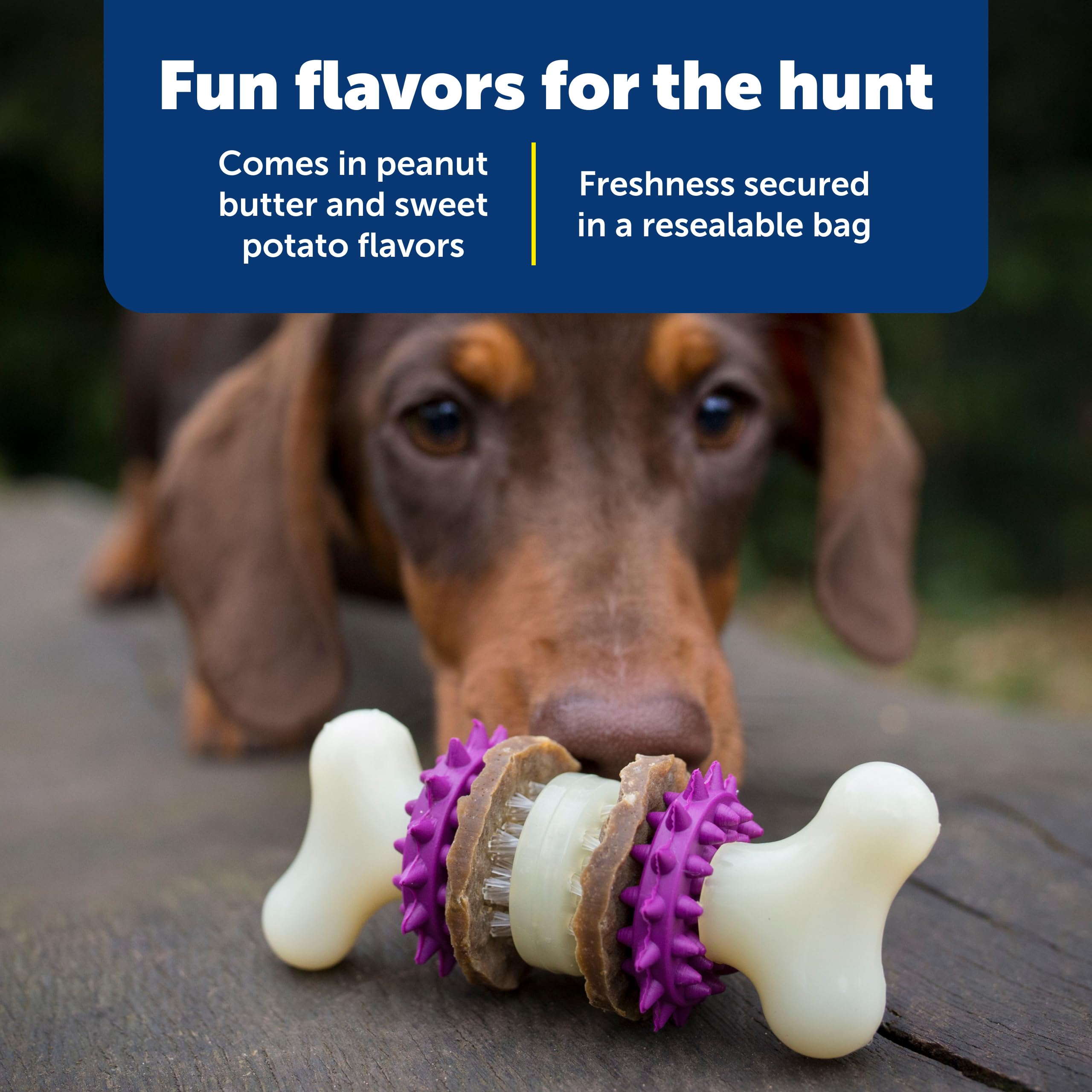 PetSafe Busy Buddy peanut butter flavor rings entice playful chewing