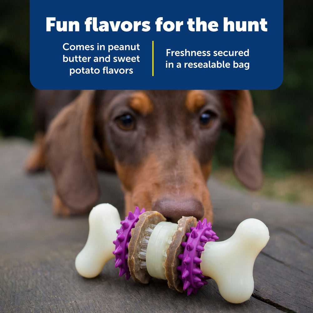 PetSafe Busy Buddy peanut butter flavor rings entice playful chewing