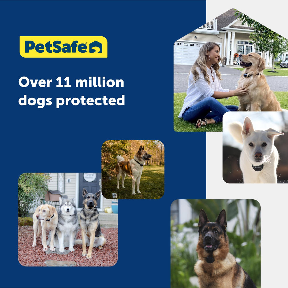 Multi-dog training capability with additional collars