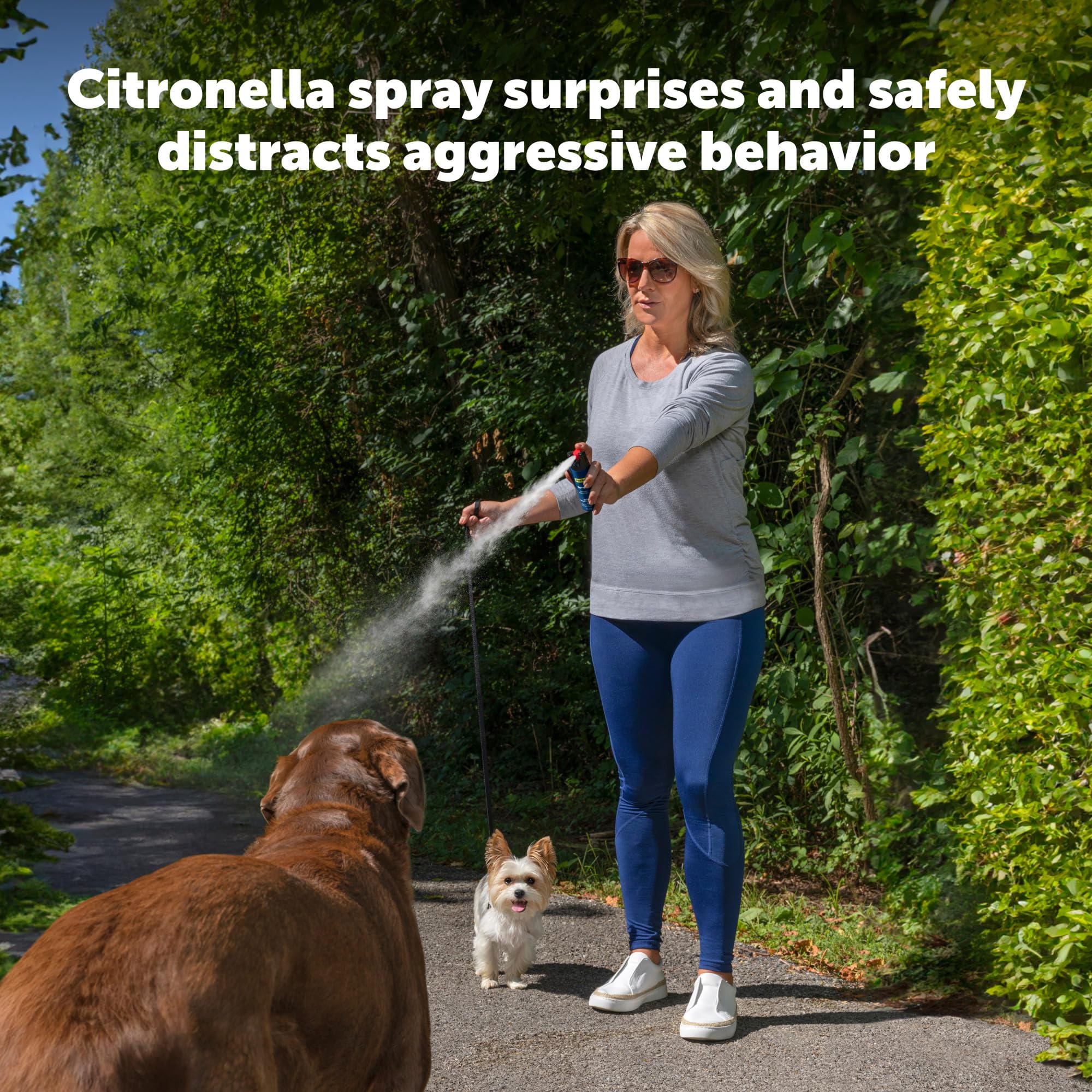 PetSafe SprayShield belt clip design enables easy, ready-to-grab protection.