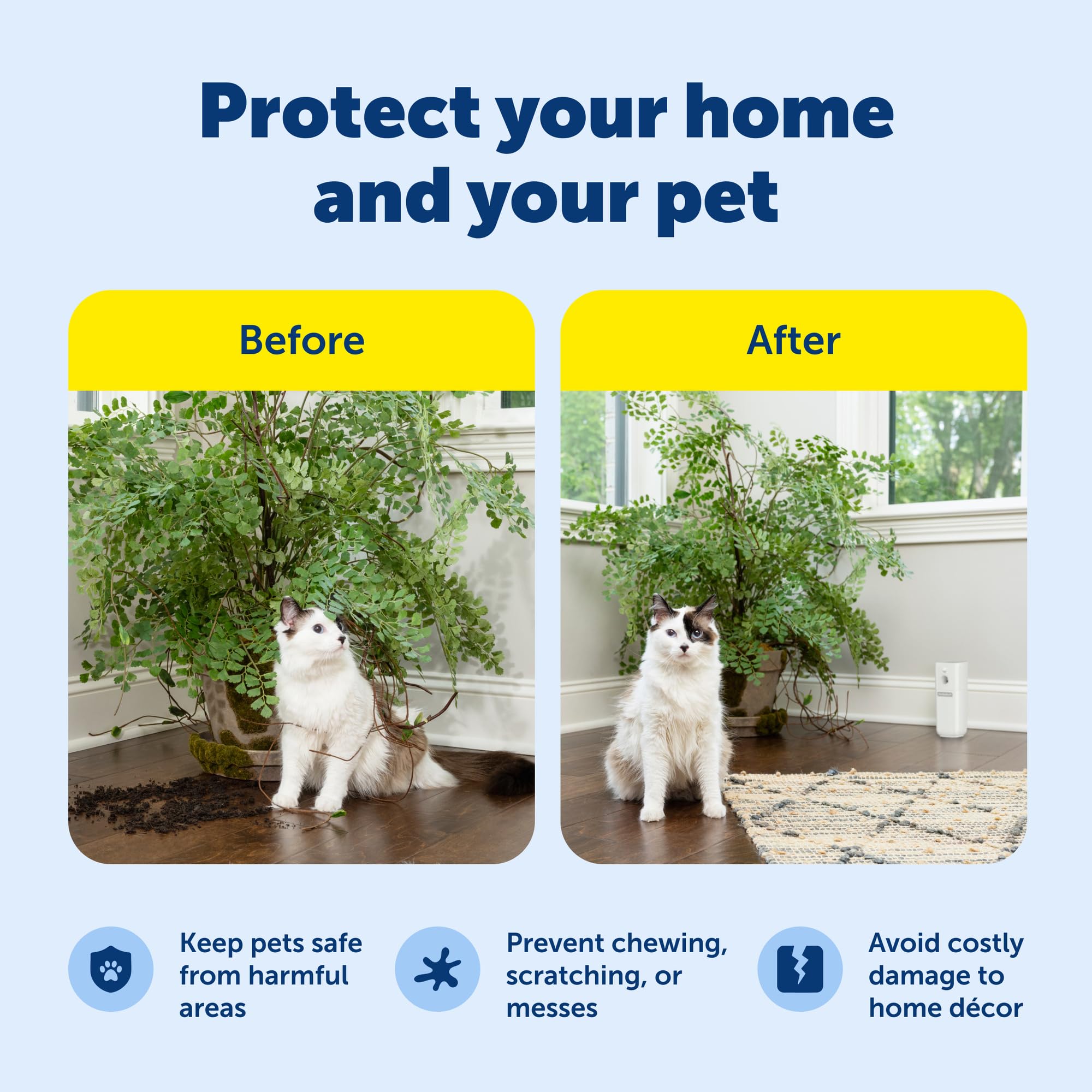 PetSafe SSSCAT on a kitchen counter helps protect surfaces from pet access