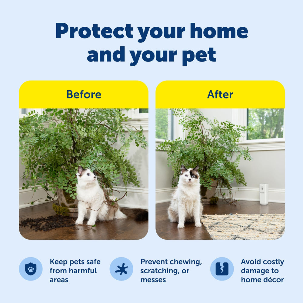 PetSafe SSSCAT on a kitchen counter helps protect surfaces from pet access