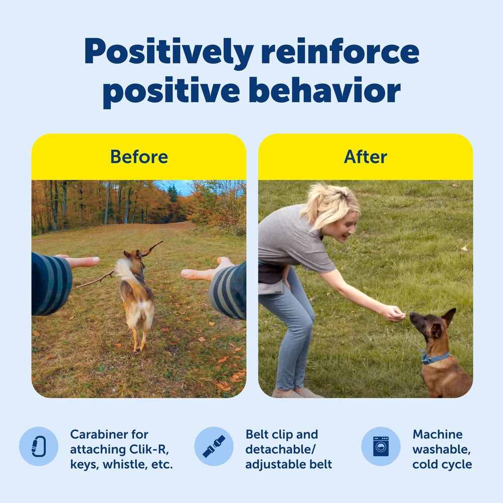 PetSafe SSSCAT odorless spray close-up highlighting gentle correction