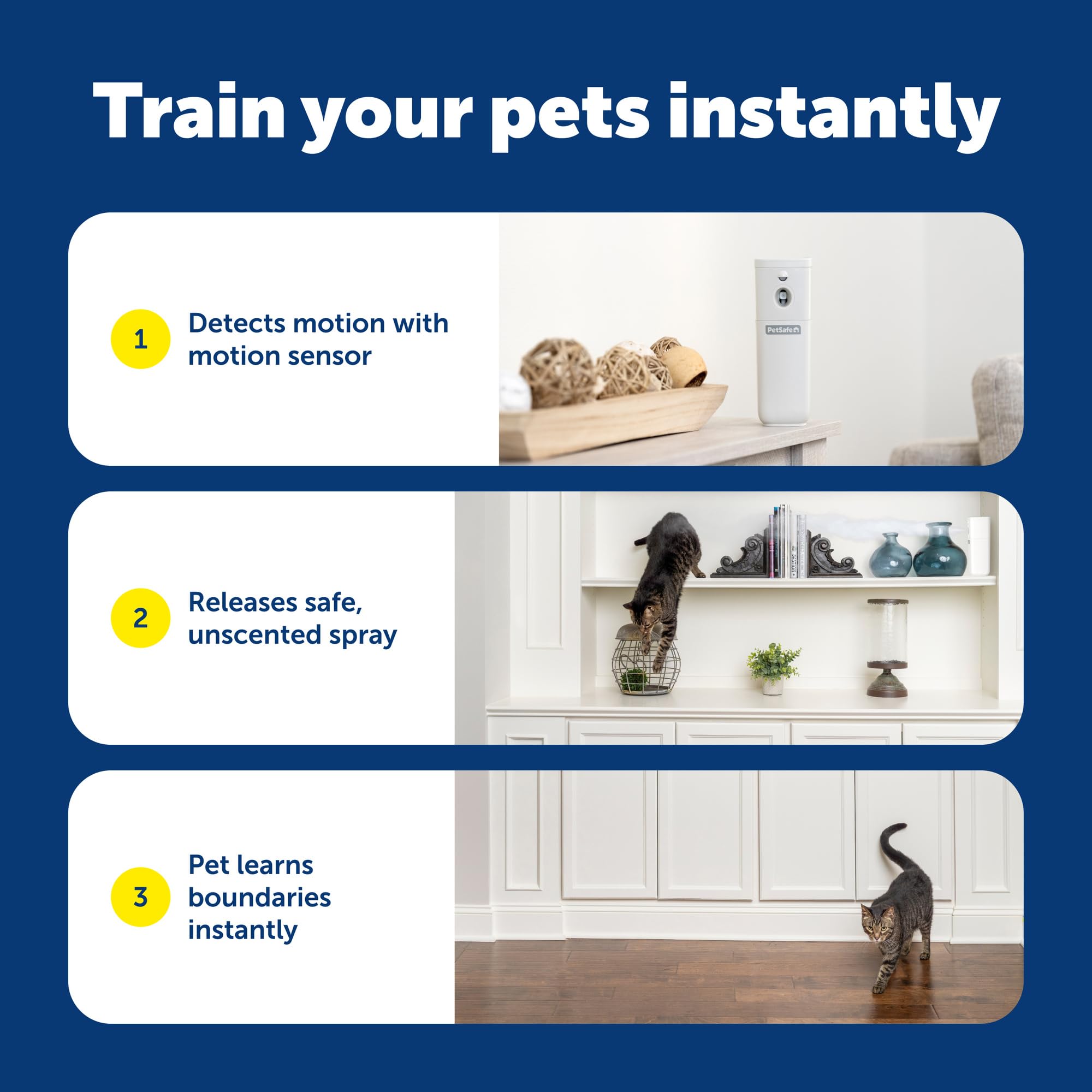 PetSafe SSSCAT training session demonstrating hands-free boundary learning