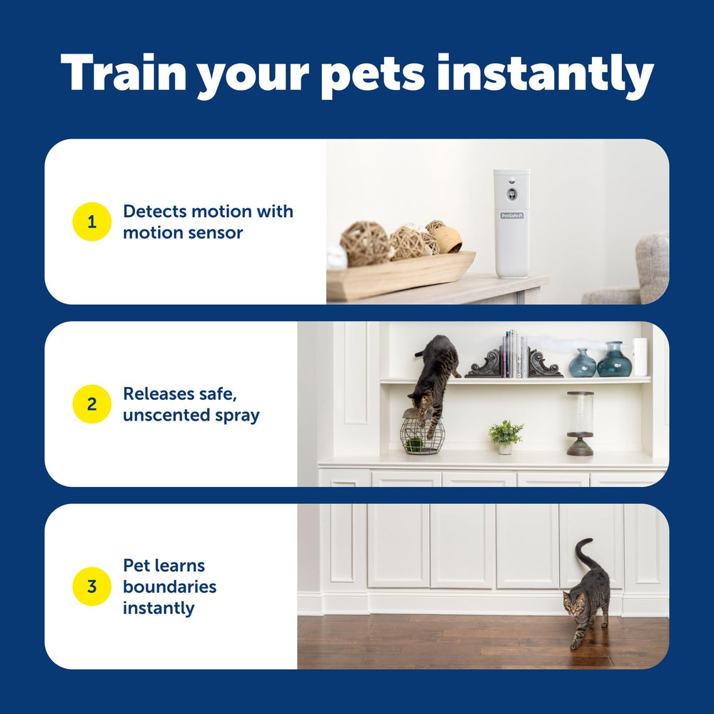 PetSafe SSSCAT training session demonstrating hands-free boundary learning