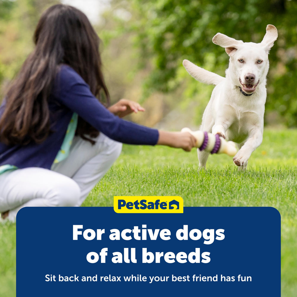 PetSafe Busy Buddy subscription saves 5-15 percent on monthly refills