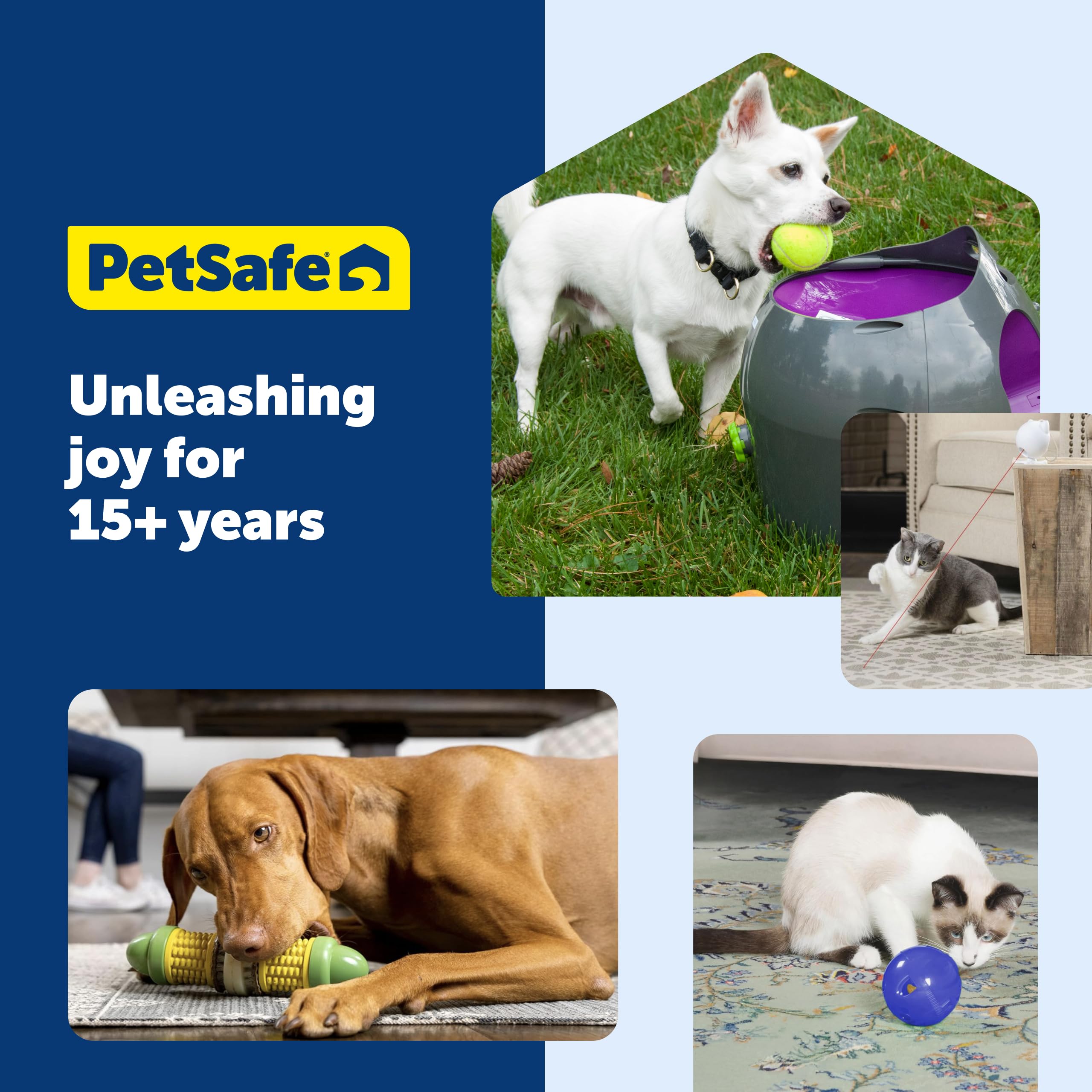 PetSafe Busy Buddy treat rings promote extended play and training reinforcement