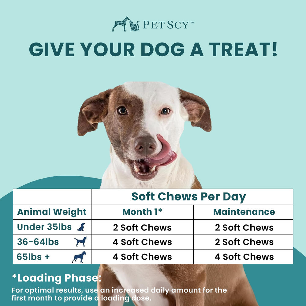 Petscy Itch & Allergy Plus skin and coat support messaging on packaging.