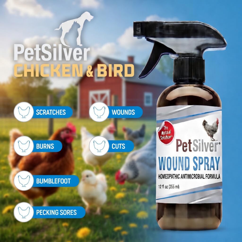 PetSilver Chicken Wound Spray application distance shows coverage up to six feet.
