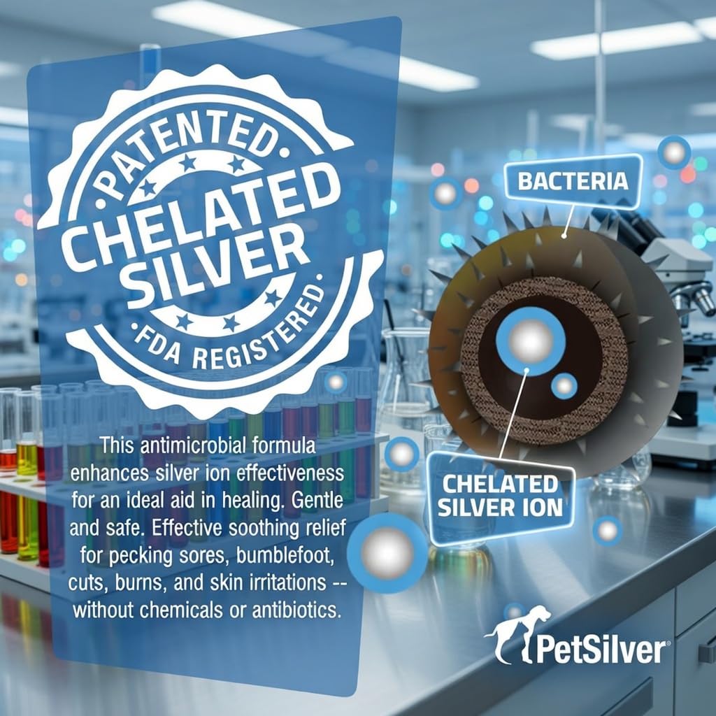 PetSilver Chicken Wound Spray applied to head and beak for targeted care.