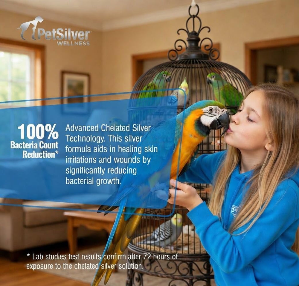 PetSilver Chicken Wound Spray demonstrates a protective barrier during healing.