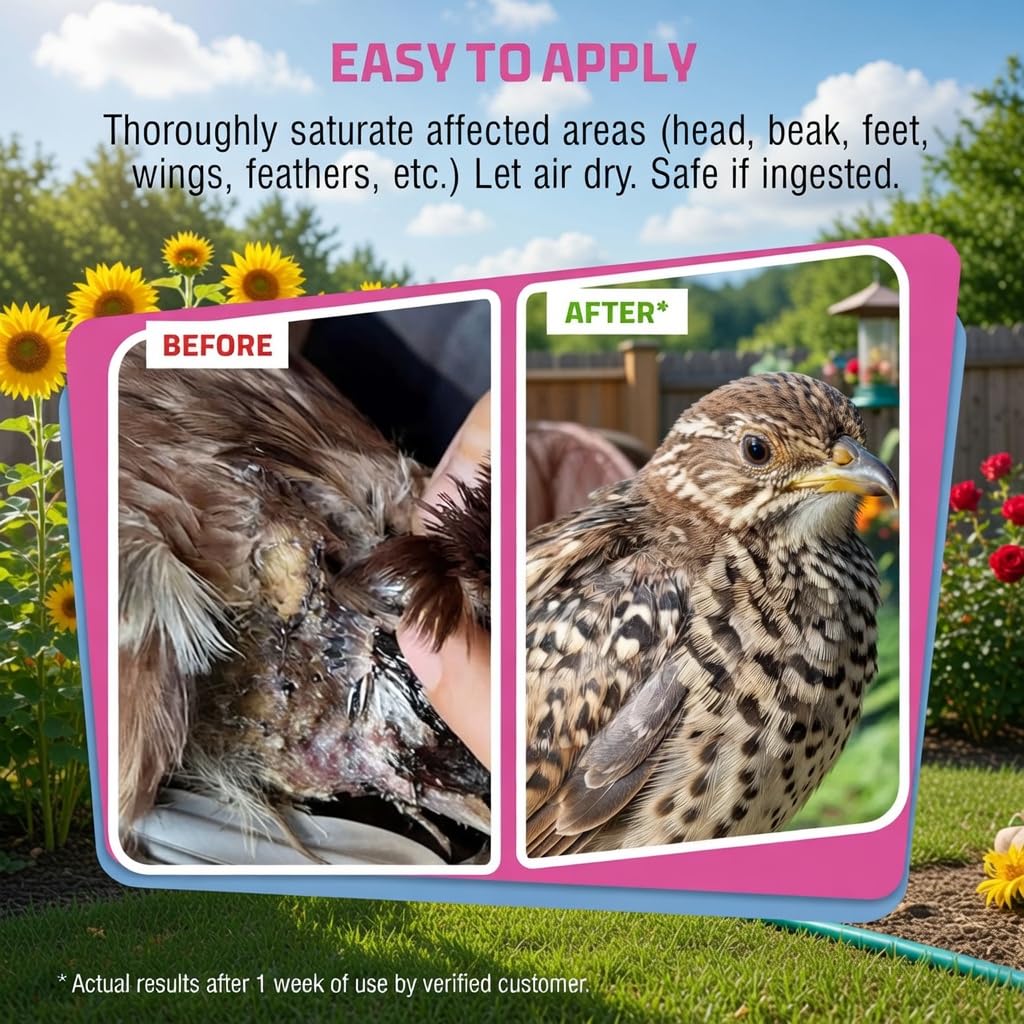 PetSilver Chicken Wound Spray on wings protects irritated skin.