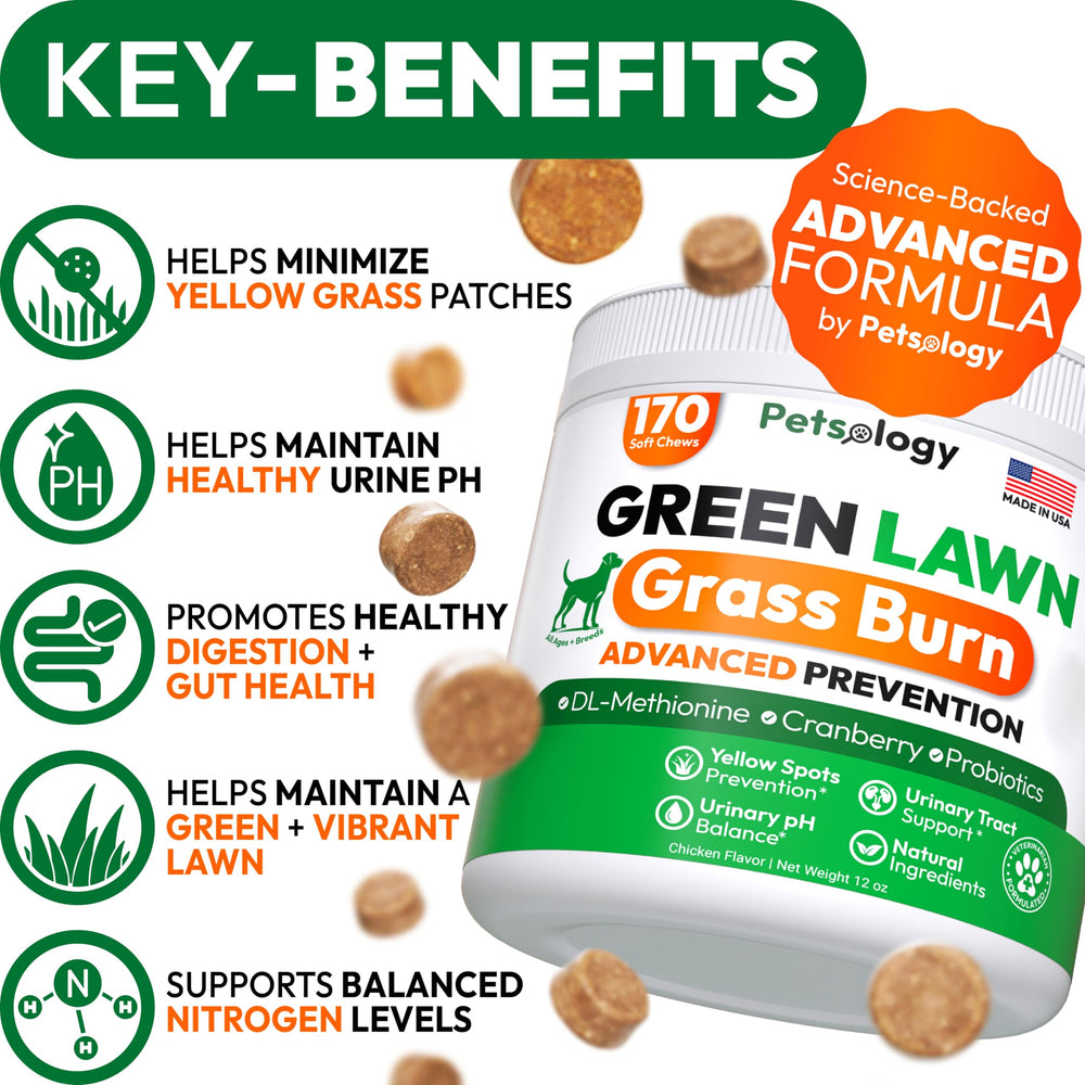 Petsology 170 green lawn chews pack in hands