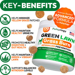 Petsology 170 green lawn chews pack in hands