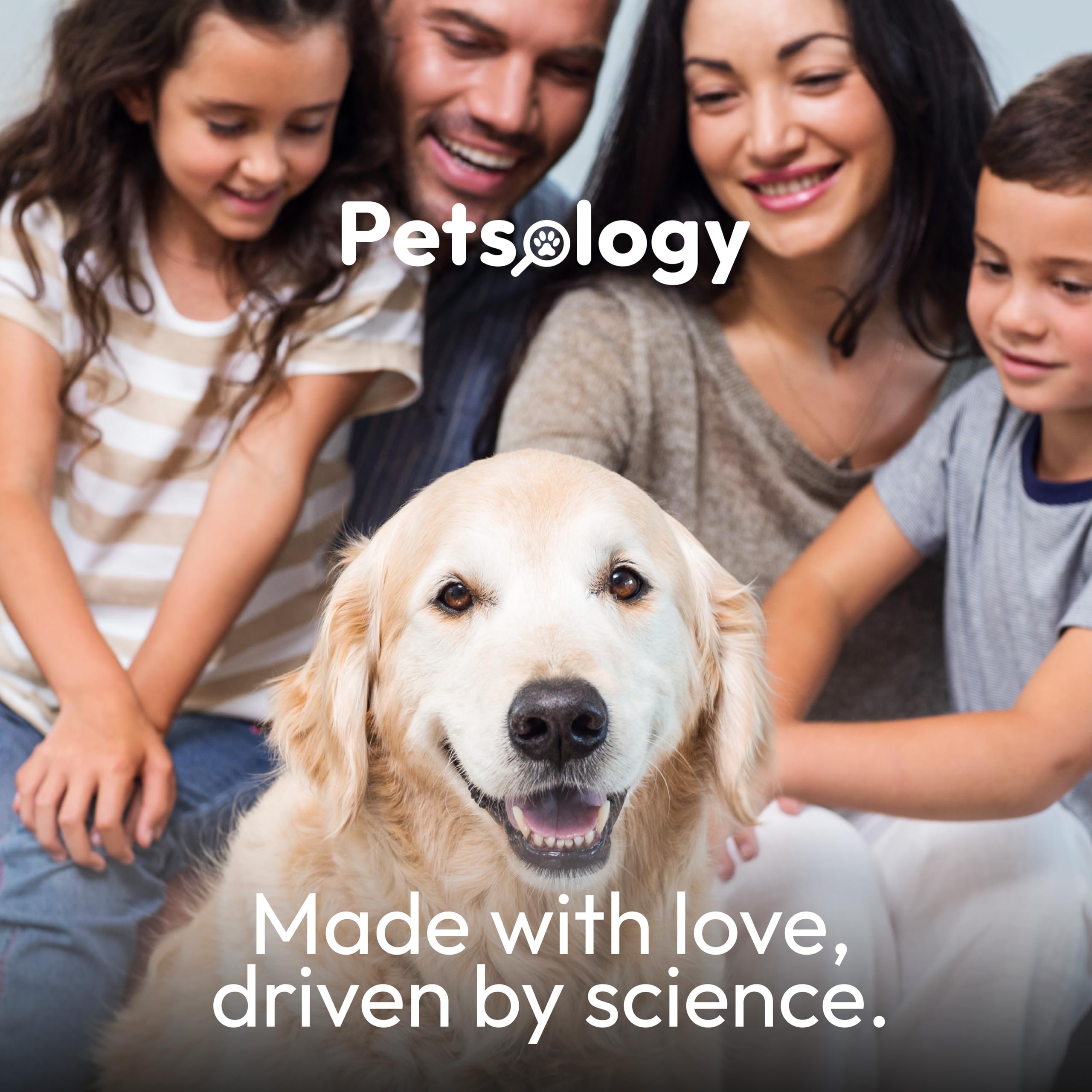 Petsology bottle and chews close-up highlighting pumpkin and fiber ingredients.