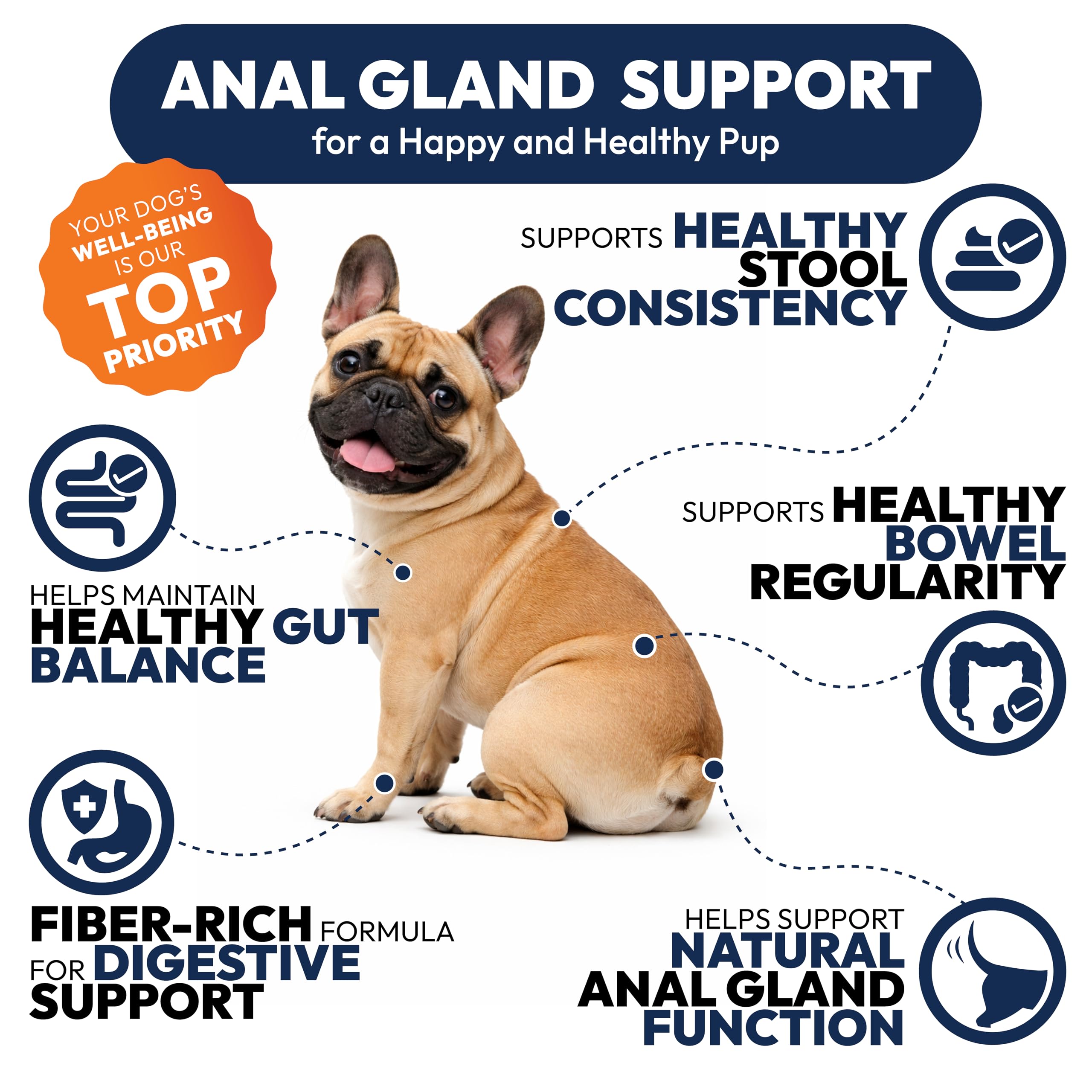 Petsology probiotic blend supports gut health in dogs through daily soft chews.
