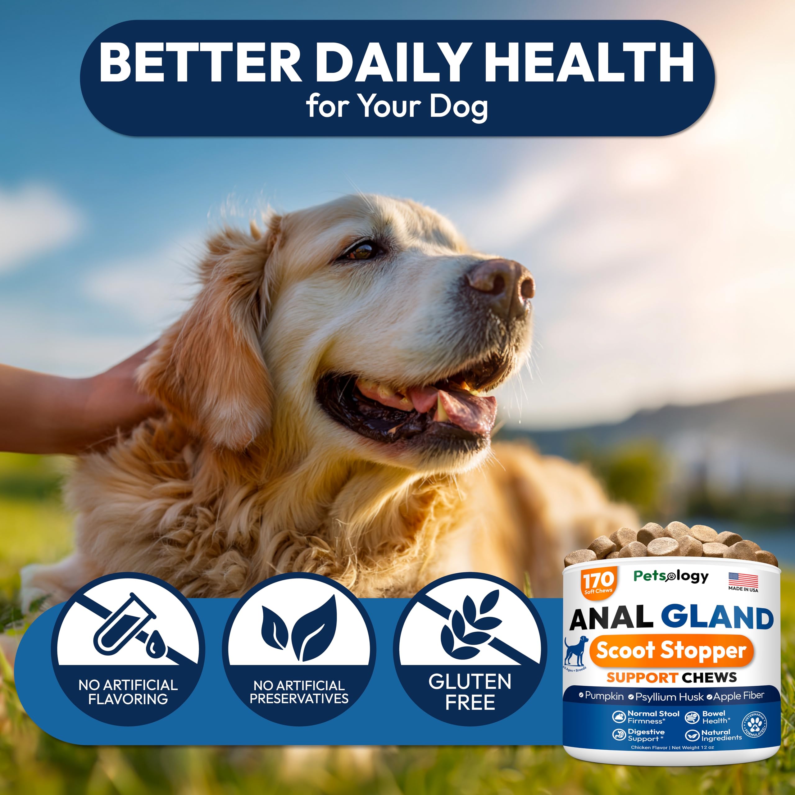 Petsology dog chews soft texture shown for easy daily feeding.