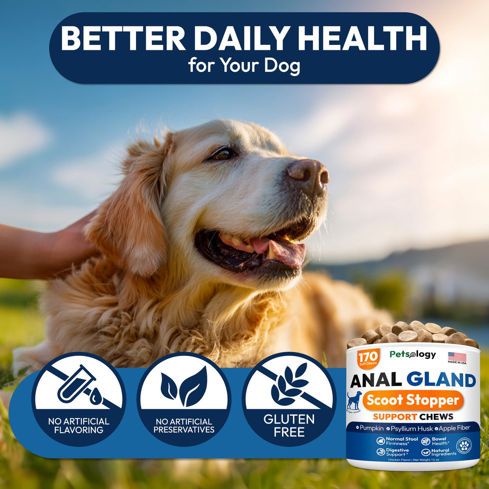 Petsology dog chews soft texture shown for easy daily feeding.