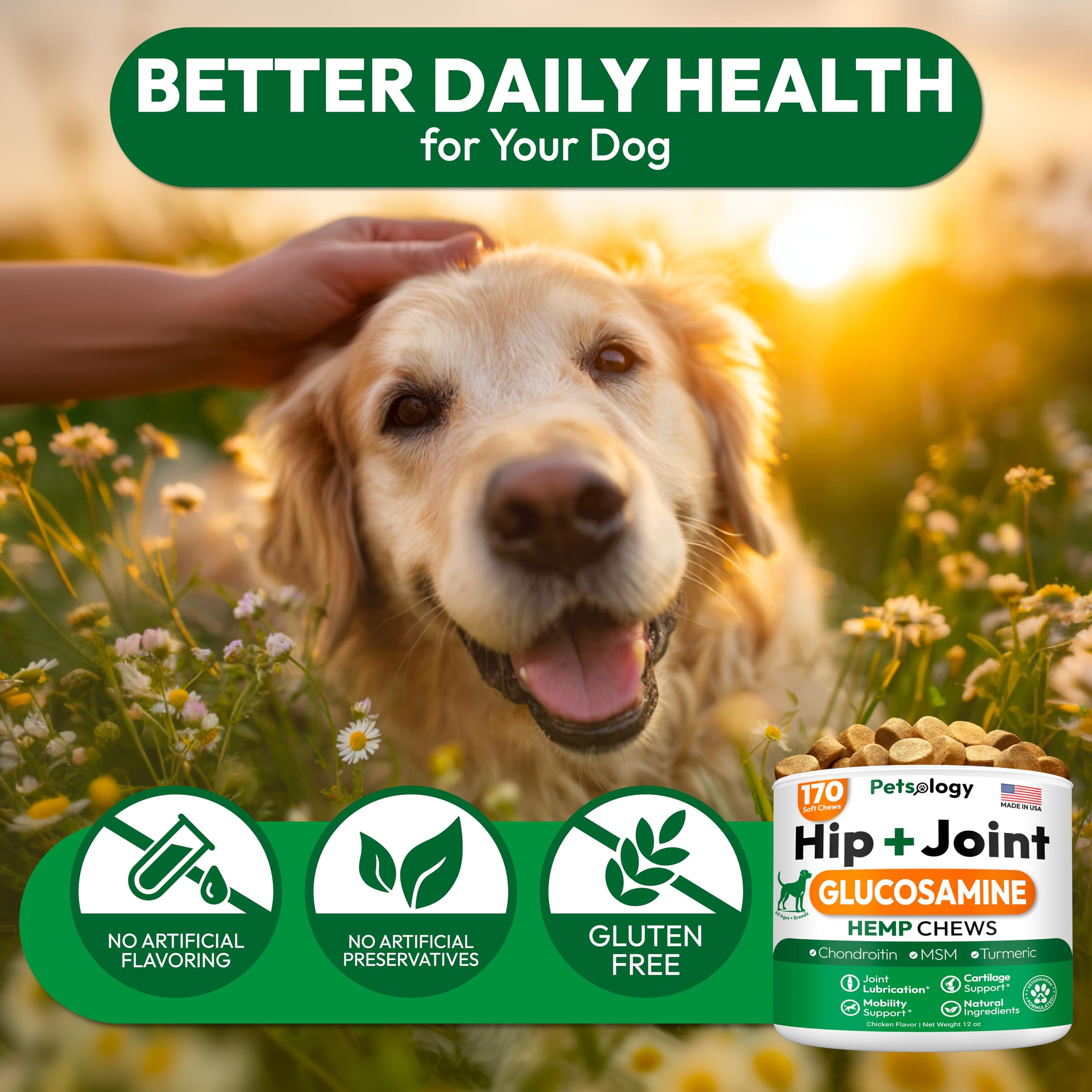 Petsology arthritis-relief-chews highlight potential pain easing and mobility support