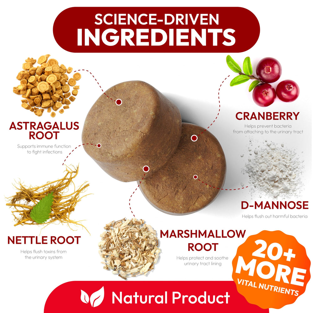 Petsology cranberry D-Mannose dog supplements pack emphasizes natural urinary balance.