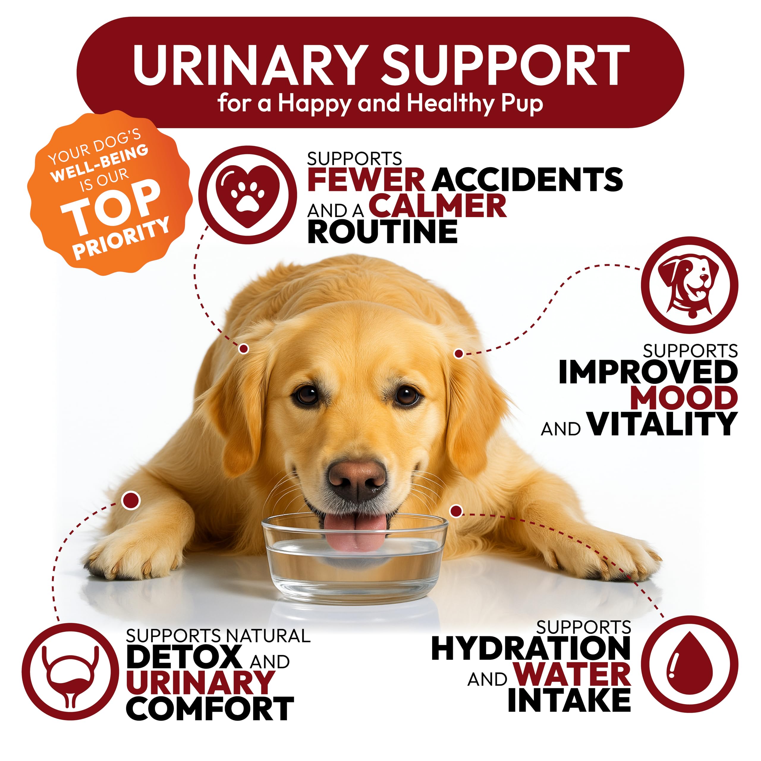 Petsology daily cranberry support dogs treats demonstrates convenient daily care.
