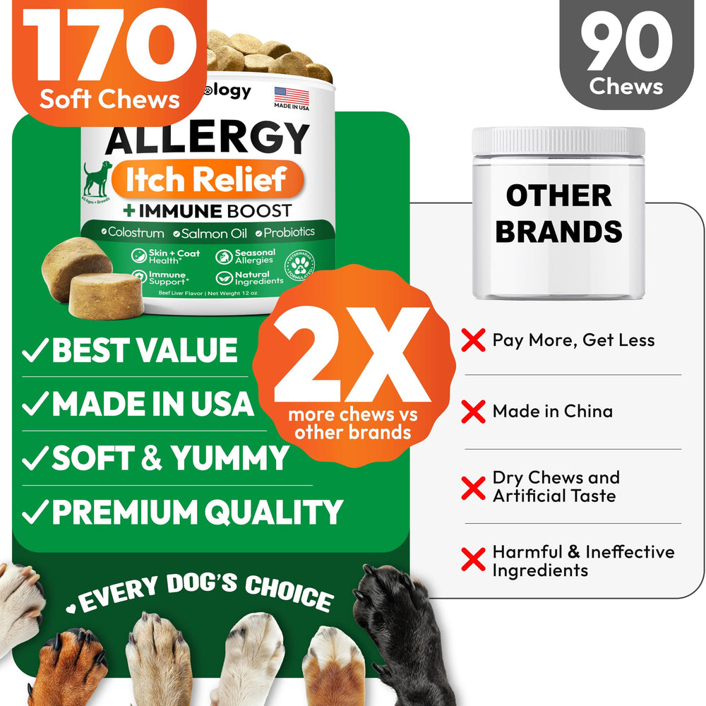 Petsology beef liver flavor chews appeal to dogs during daily routine.